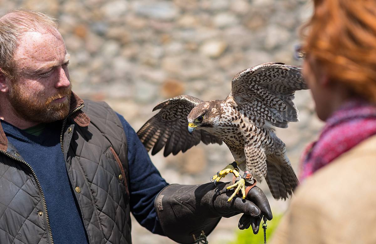 Glenlo Abbey Hotel Galway